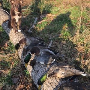 Meet your Posher, Jack